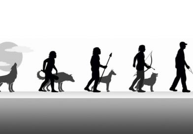 Mi is az az evolúció?